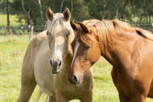 20240822 20240822 p8220305 