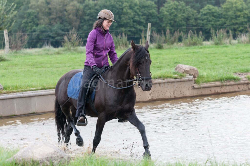 dh5 9911webdourado wasser