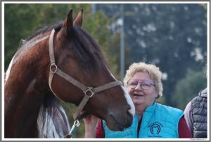 lp hoerpel 40 min toelt 280923 kruell excalibur v kreiswald 8,00 l hengst img 4955