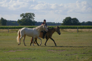 Marcha UK7 4630 2025 09 12 17.05.24 300x200