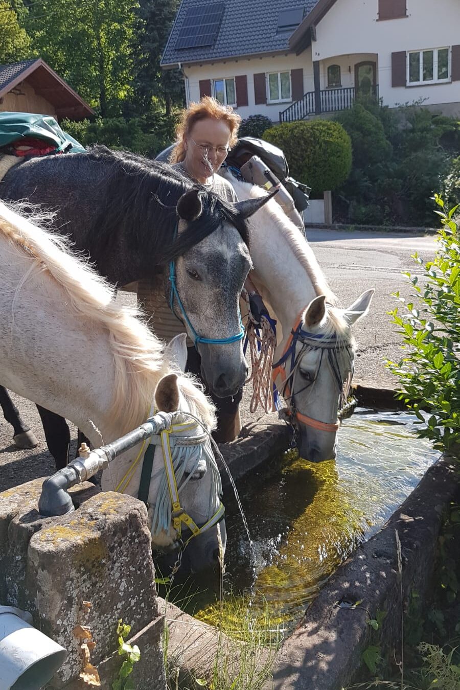 photo 2023 11 22 13 28 21