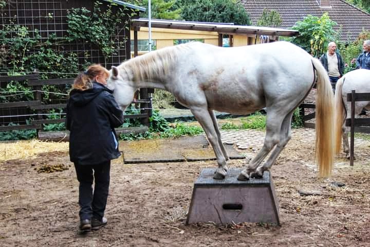 photo 2023 11 22 13 49 29