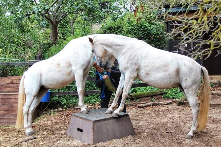 photo 2023 11 22 13 49 45