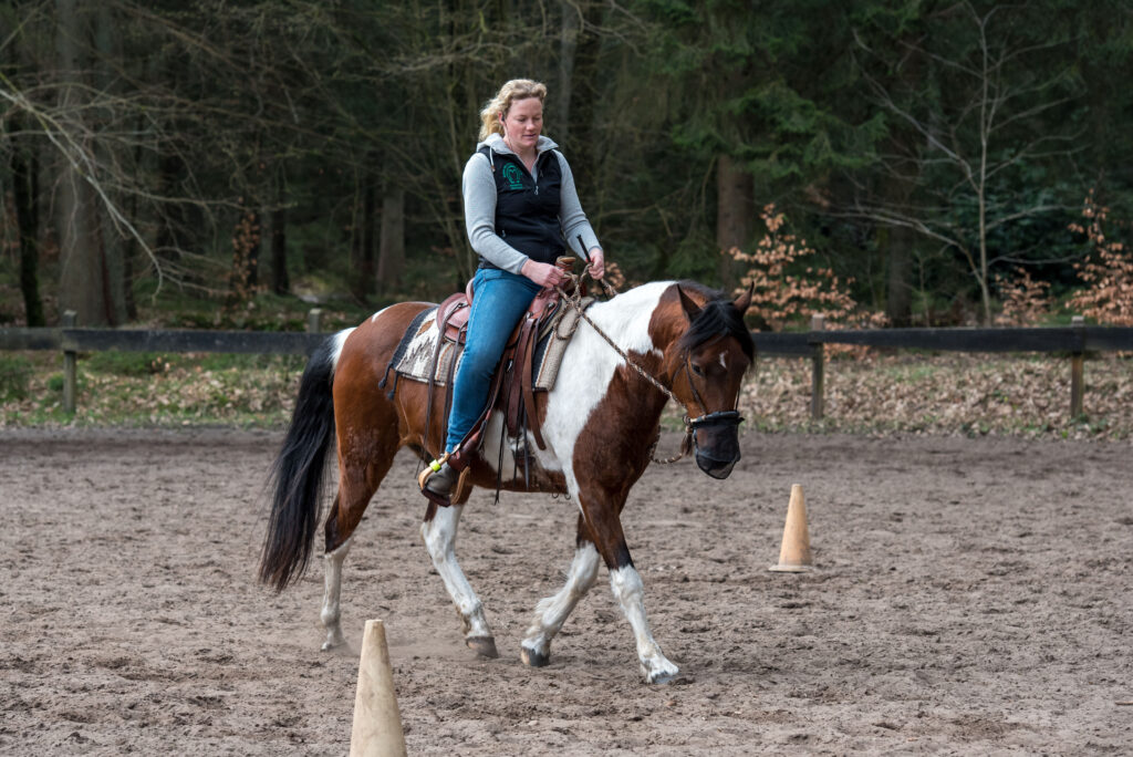 karen diehn kd3 7821 original (priv. nutzung) b95f8431 