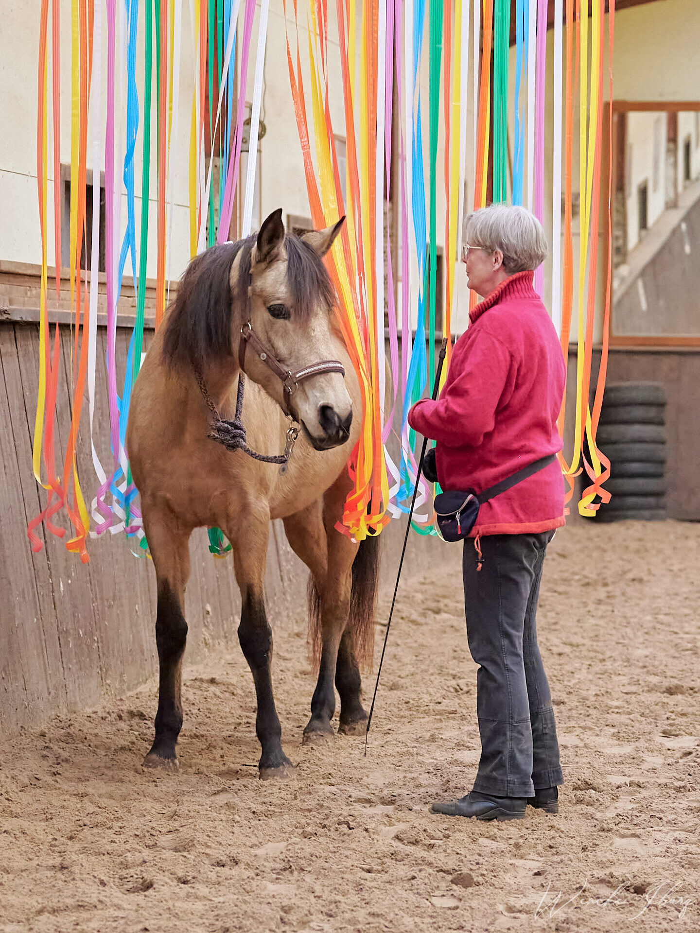 mali wib2744 2023 03 18 18.53.47