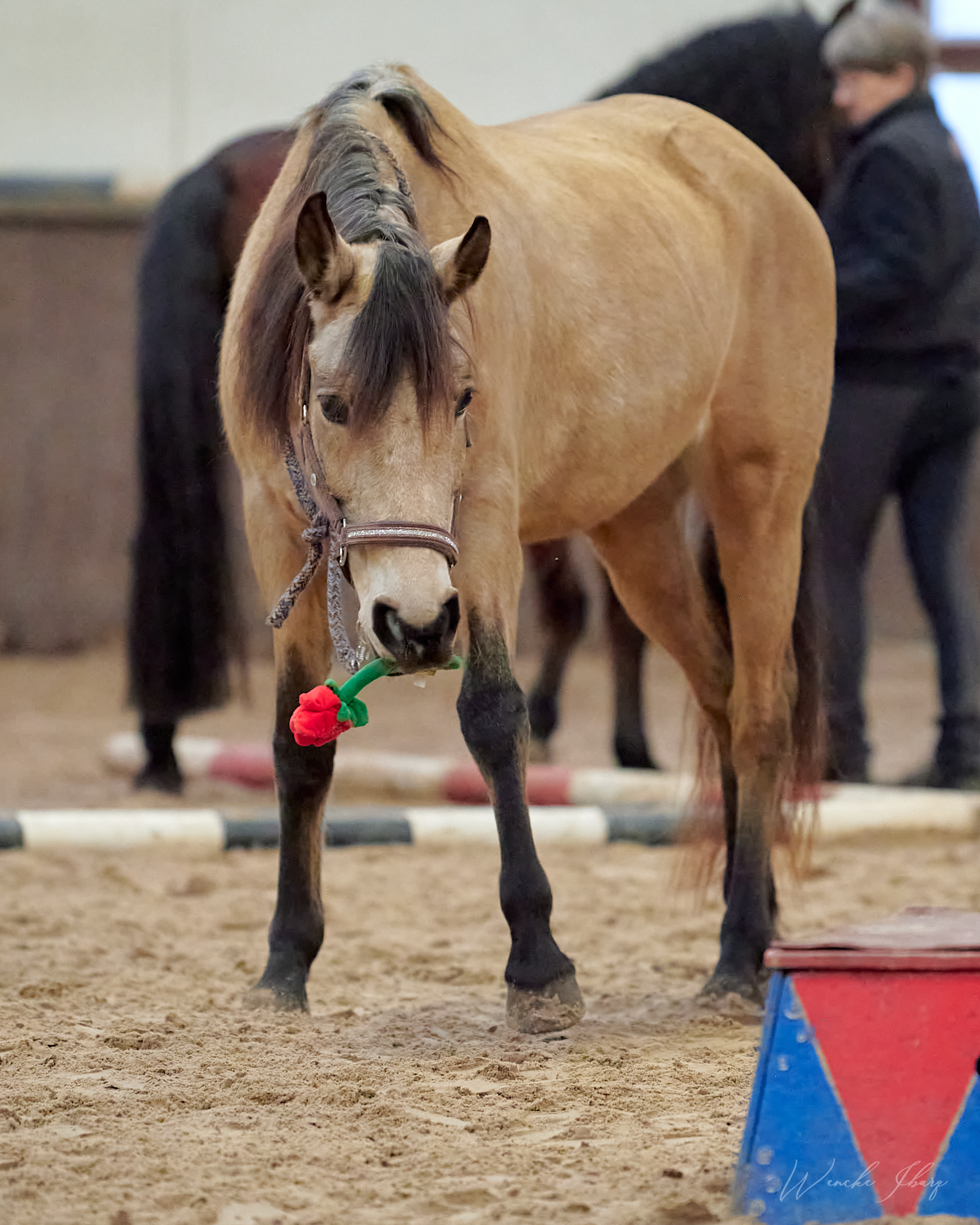 maliza wib2908 2023 03 18 19.15.36