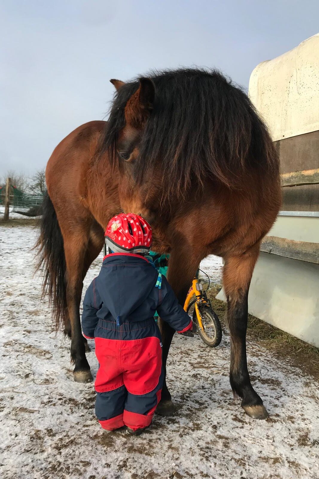 315d1724 151d 48e3 847a fba248bbb533