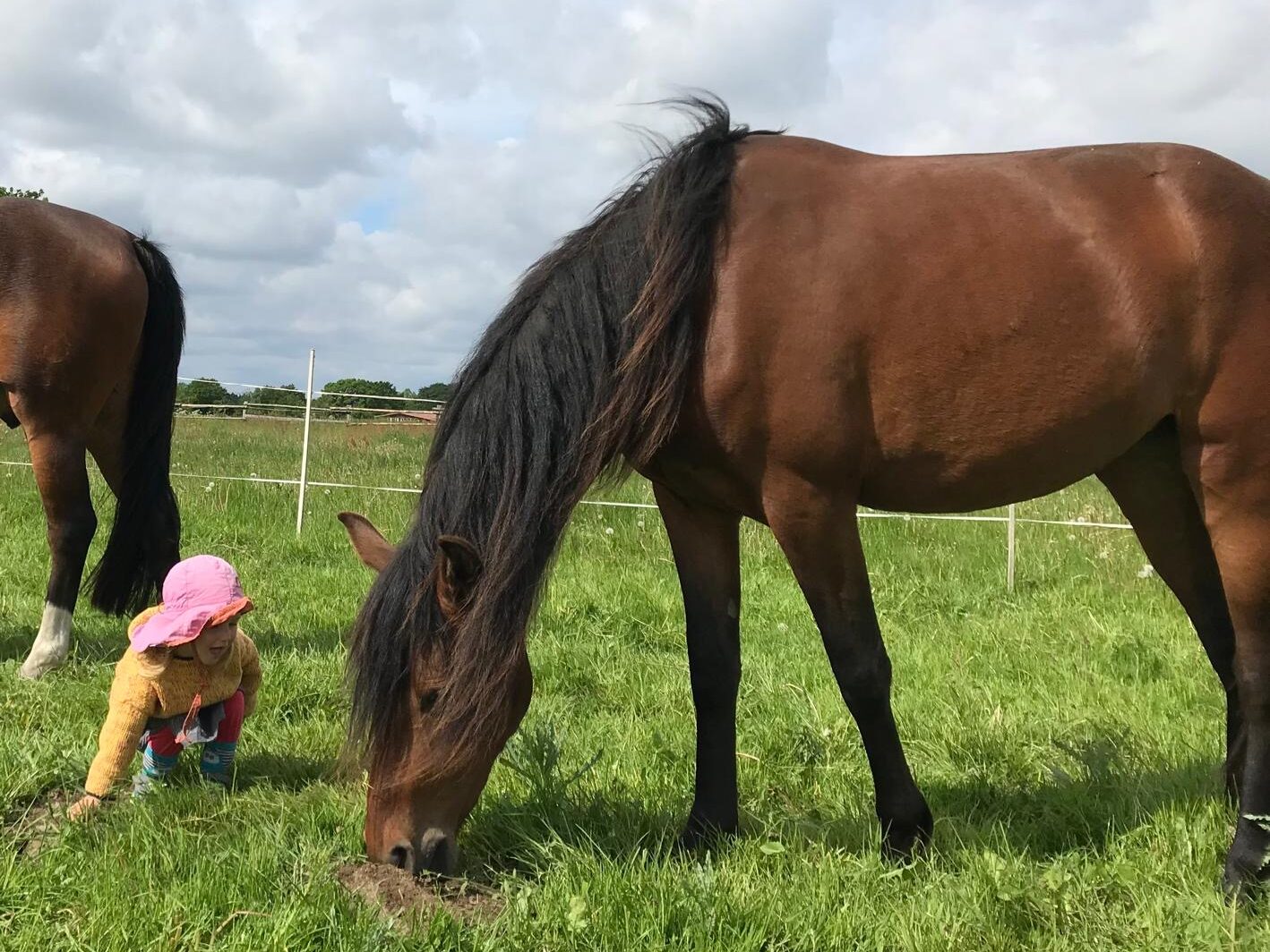 9c5dd946 1990 4e18 8789 9581cd44bccd