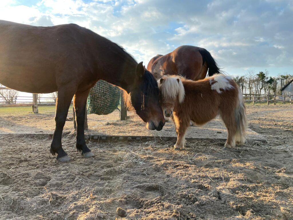 b028ed71 519e 4540 927f b91a354d58c8